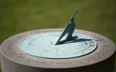 Raison d’être : En quoi est-elle votre boussole infaillible ?